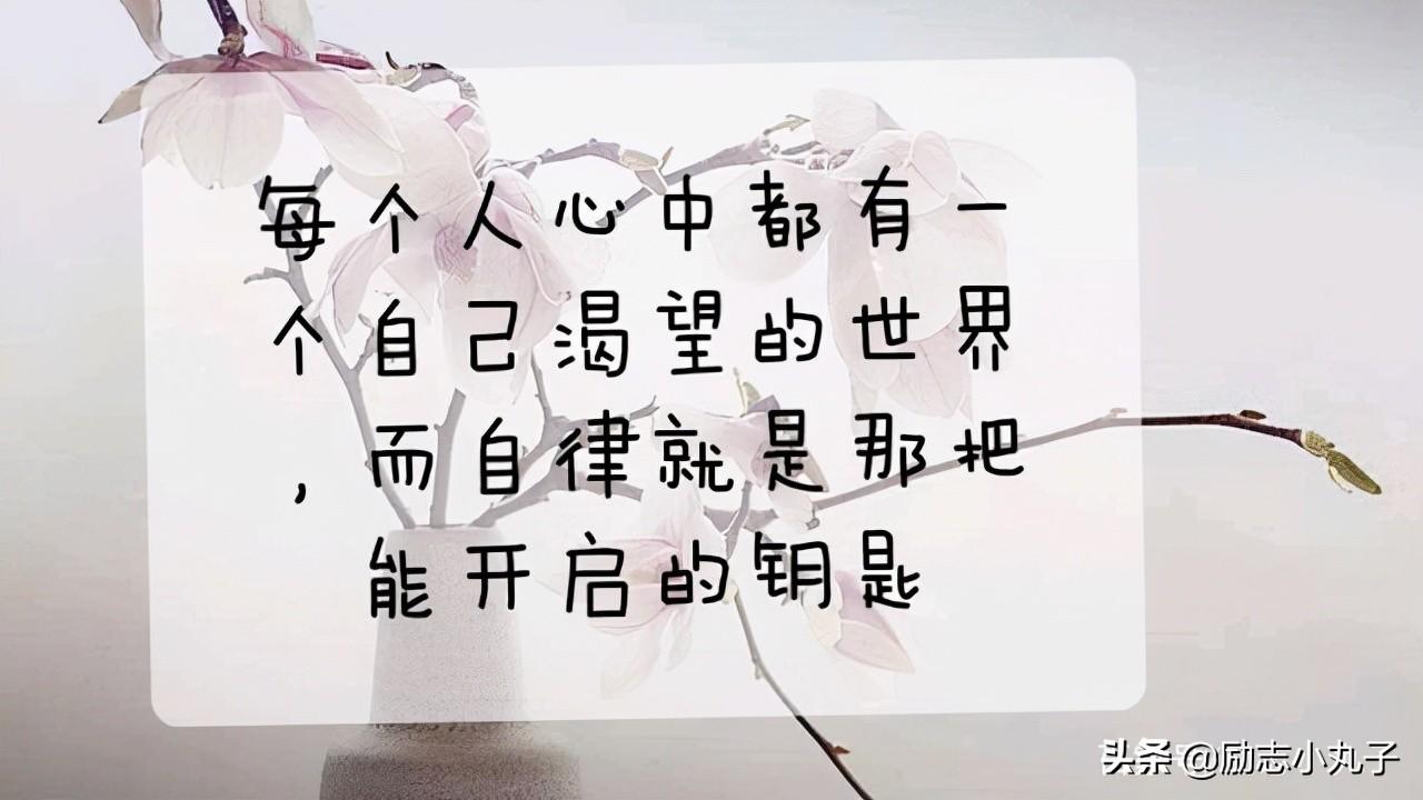 好习惯伴我成长演讲稿范文（养成好习惯，成就好人生）