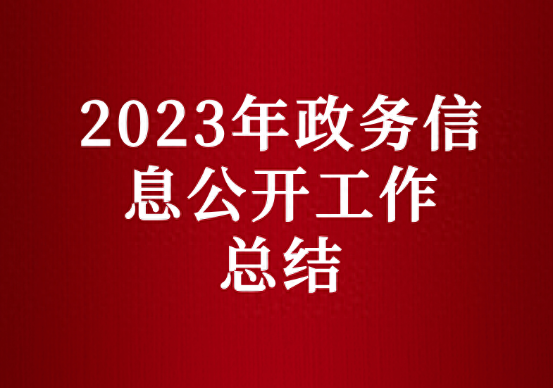 政务公开总结报告（2023年政务信息公开工作总结）